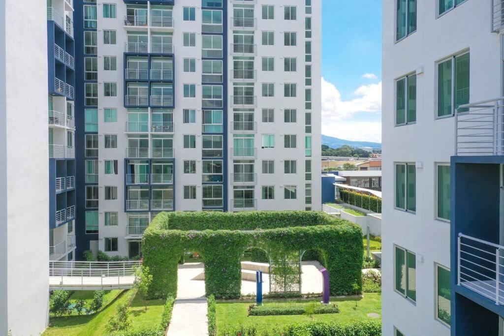 New Luxury Apartment 12Th Floor 산호세 외부 사진